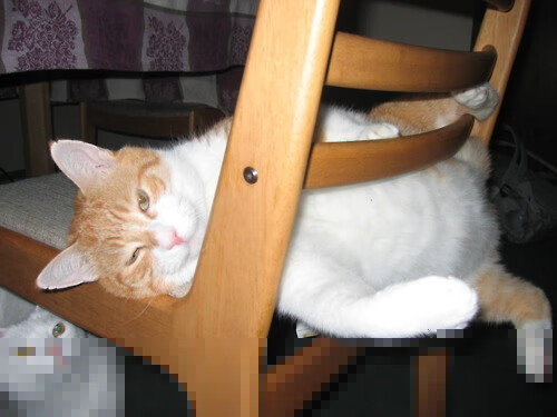 黄土高原的篮球奇迹，当山西队站在NBA总决赛的聚光灯下