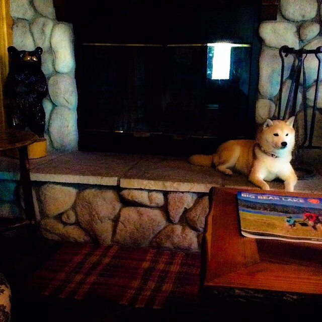 棋盘上的心跳，当北美德比遇见德国大脑