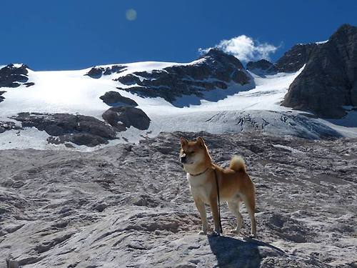 F1巴林引擎轰鸣时，切尔西的厄瓜多尔革命已在路上