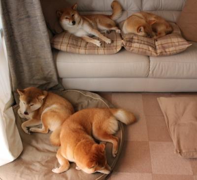 硬仗血脉,从深圳湾到慕尼黑的决胜基因