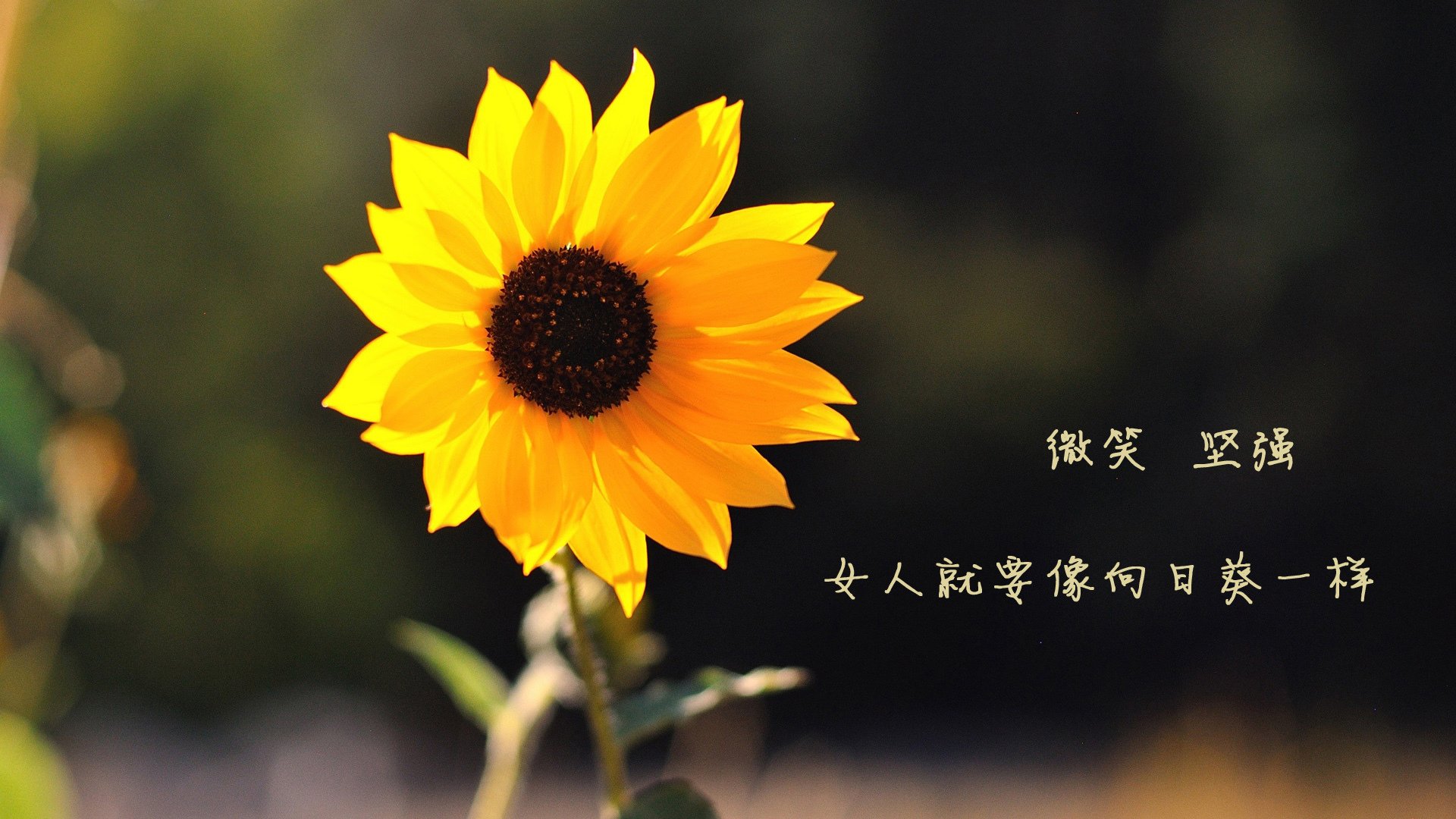 战场·命门·暗涌，山西绝杀广厦背后，奥运周期下的生死试炼