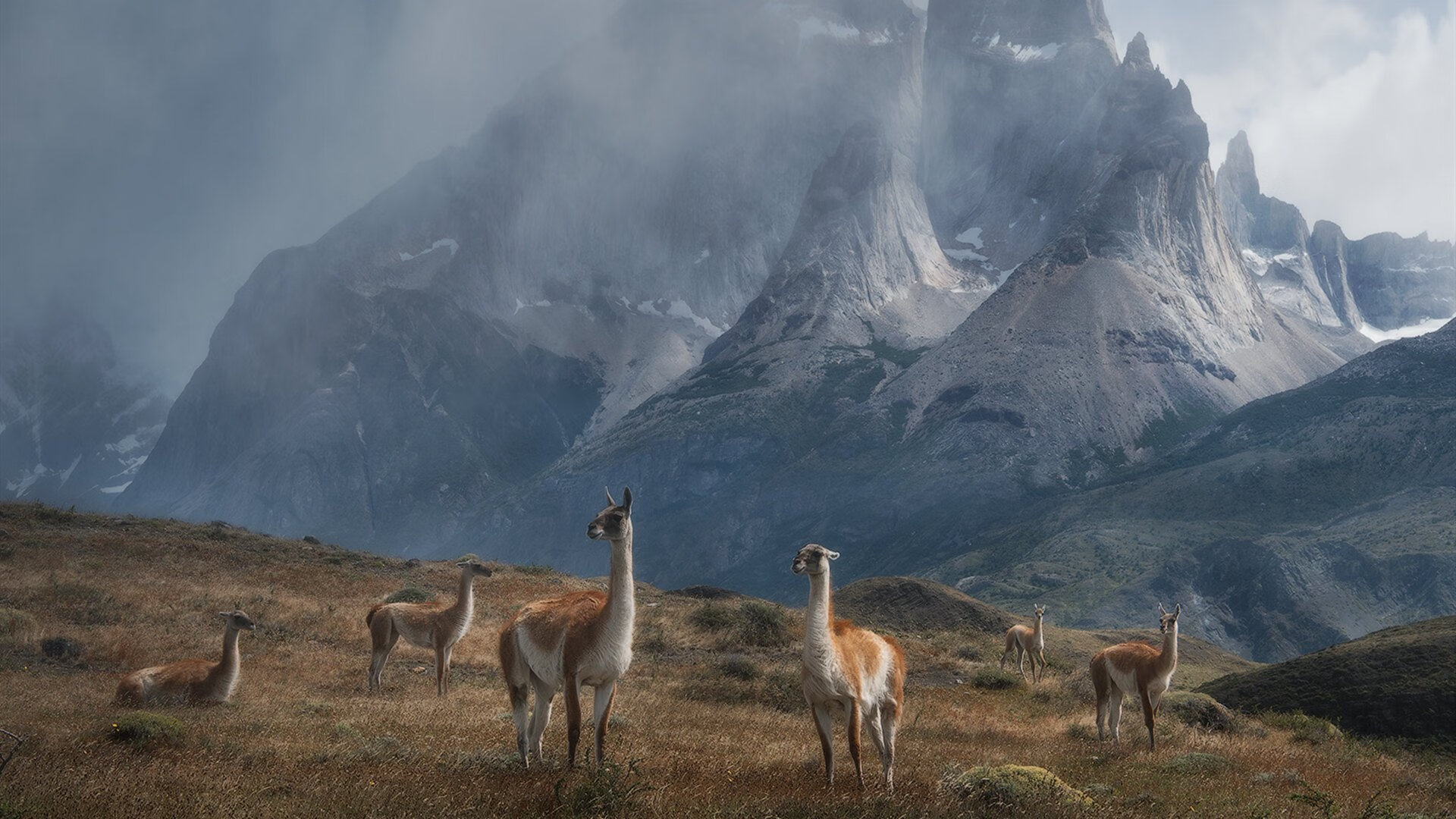德罗赞抢七之夜封神，全场最佳毫无争议