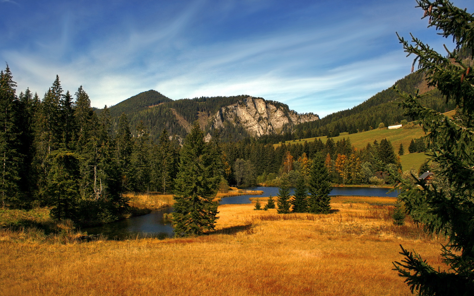 跨界收割记,当东方利刃切开绿军铠甲