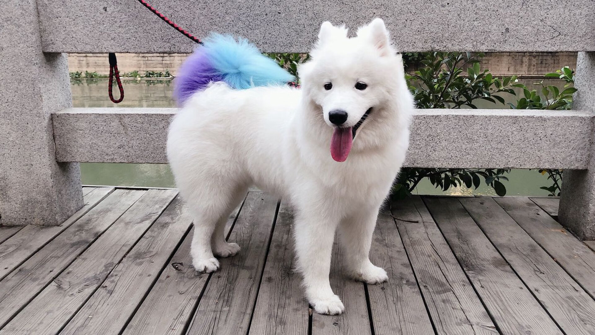 节奏大师，乔治在总决赛之夜谱写的胜利交响曲