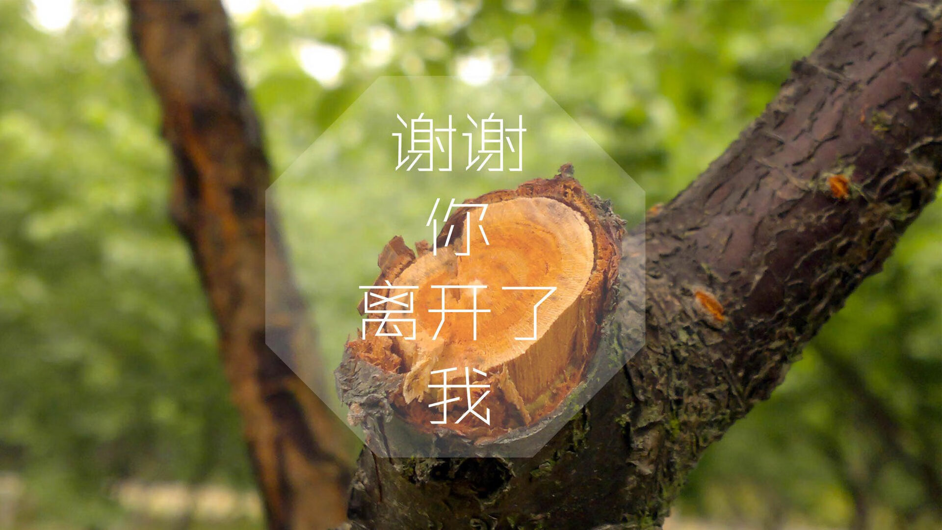卡塔尔全面压制瑞士的背后,卡塞米罗式的中场统治力