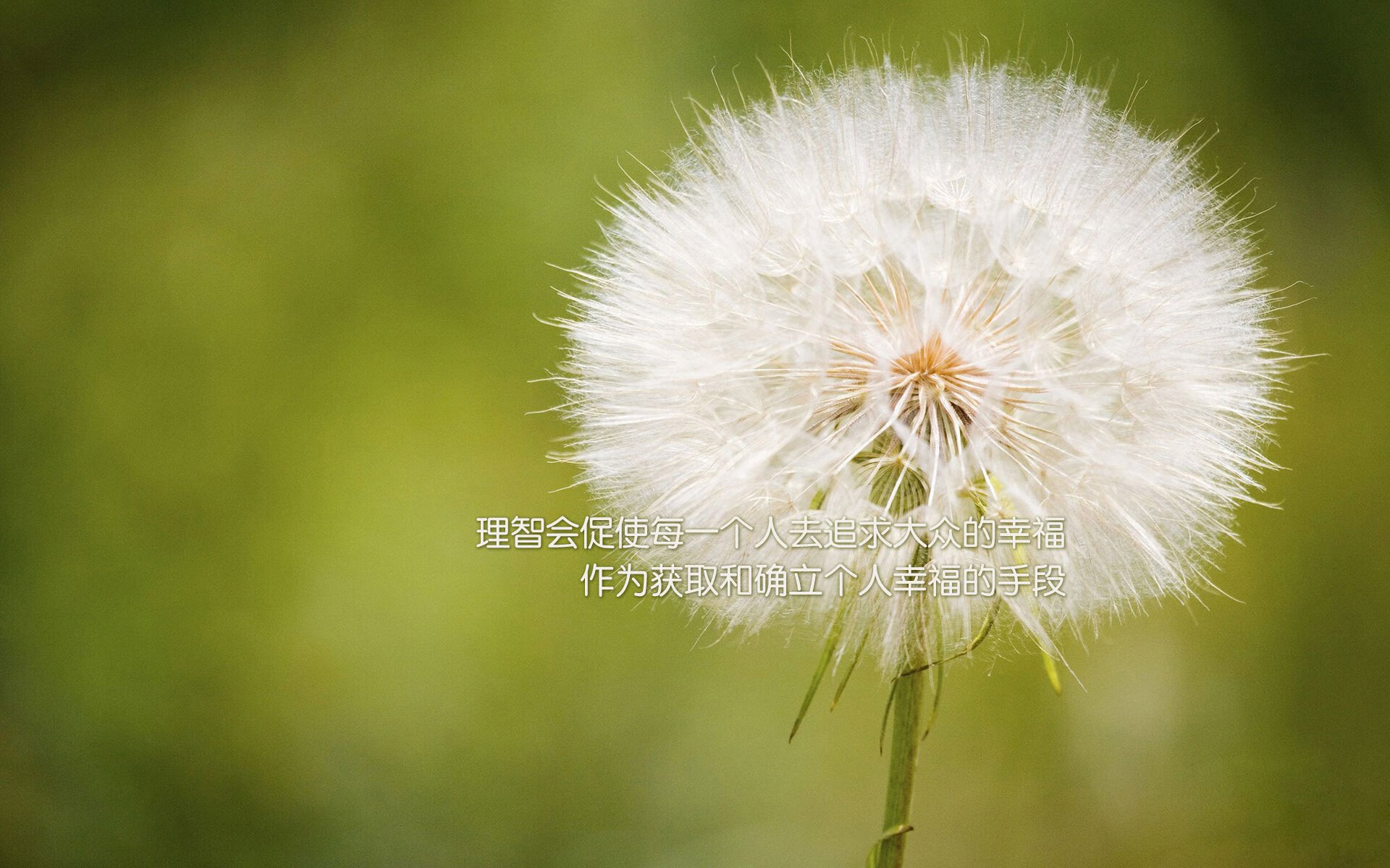生涯之夜!小贾伦狂轰45分拯救步行者,压哨绝杀掀翻凯尔特人