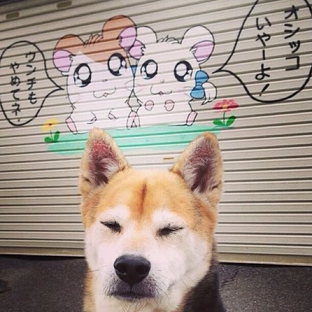 (二选一)